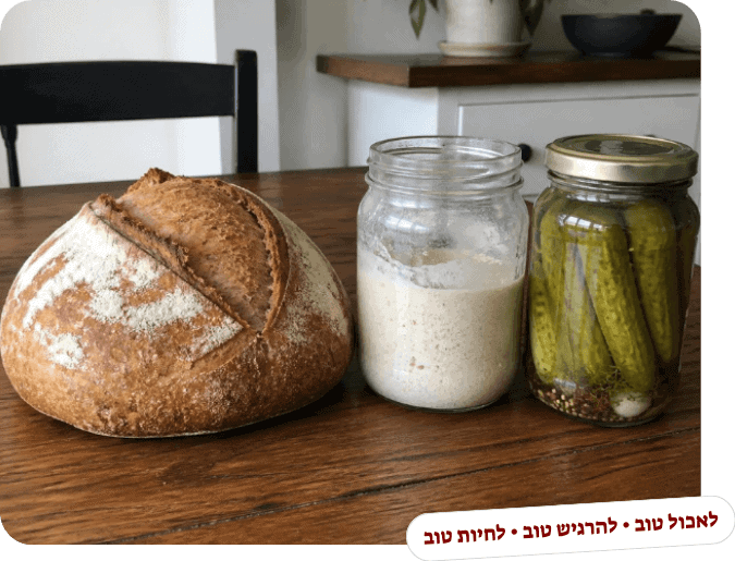 סדנת בישול והתססה